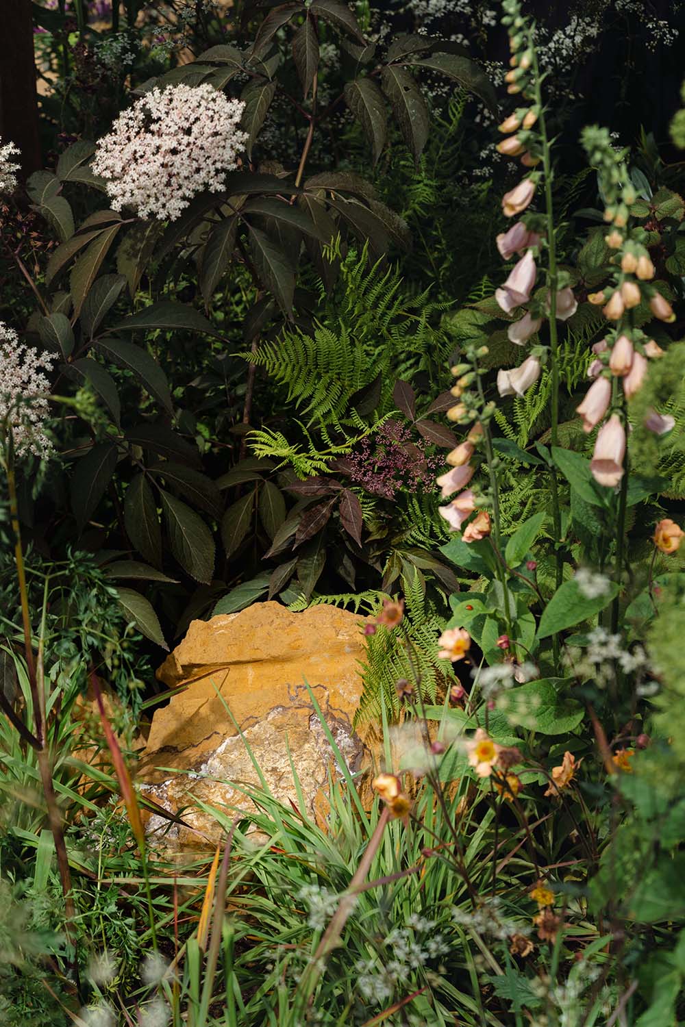 Chelsea Flower Show 2026 Planting