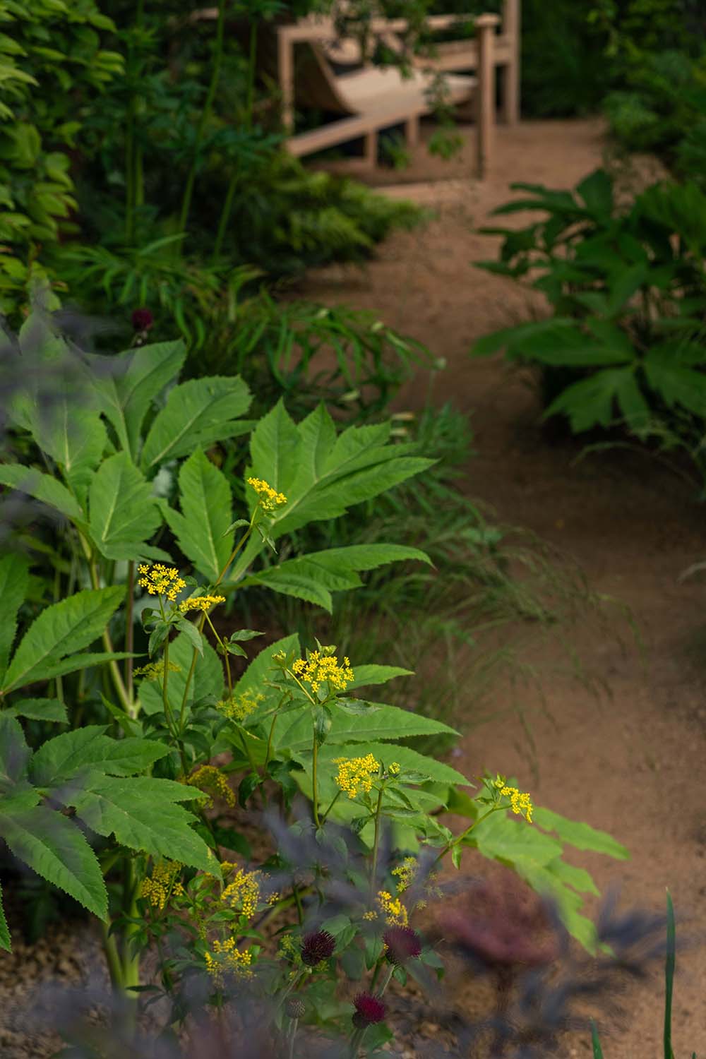 Chelsea Flower Show 2026 Planting