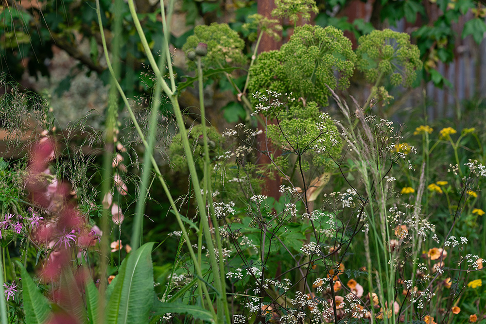 Chelsea Flower Show 2026 Planting