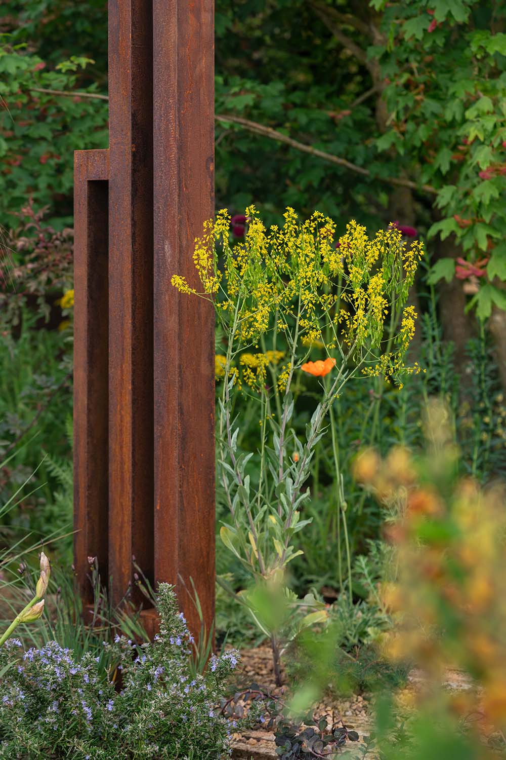 Chelsea Flower Show 2026 Planting