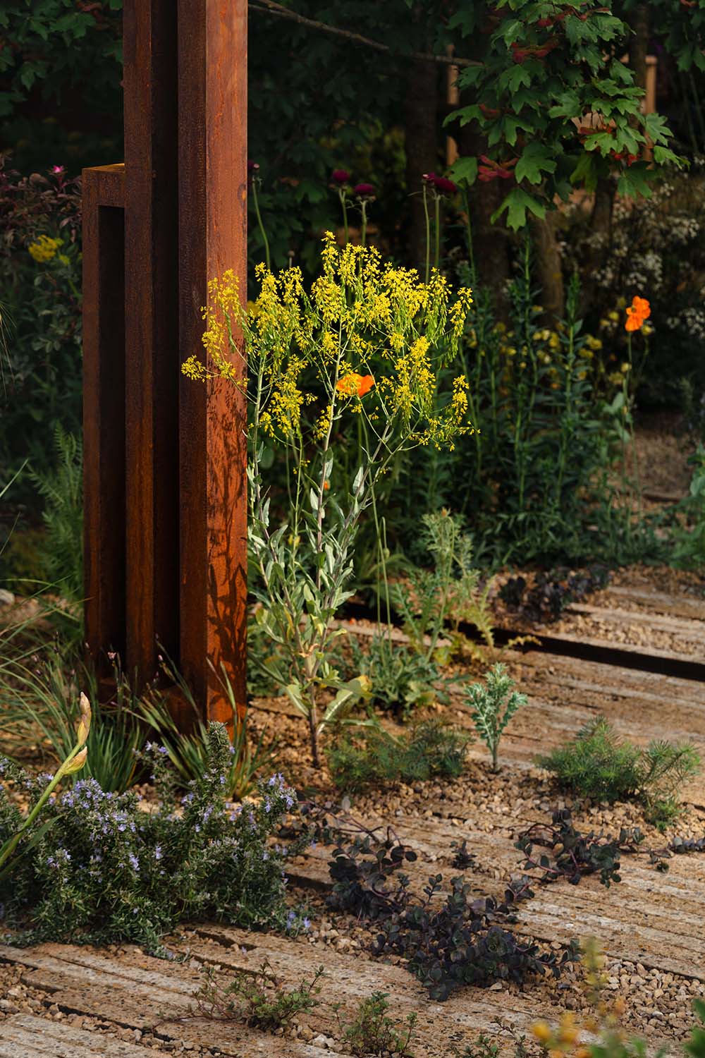 Chelsea Flower Show 2026 Planting