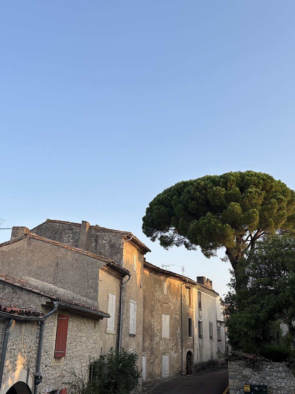 South of France Silkworm Factory